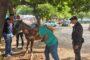 Caballo con graves lesiones, rescatado por la policía; capturado su conductor en flagrancia