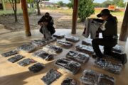 Policía Aduanera incautó 432 confecciones de contrabando en la vía Bosconia – El Paso