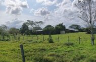 Tres municipios del Cesar, priorizados en el “Ruralidad para la Vida”