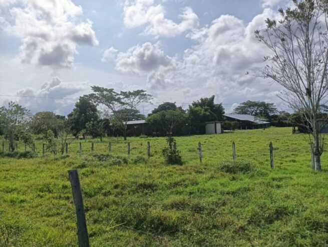 Tres municipios del Cesar, priorizados en el “Ruralidad para la Vida”