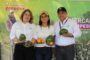 Productores rurales llevaron su cosecha al Mercado Campesino de La Jagua del Pilar (La Guajira)