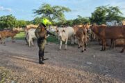Refuerzan seguridad en el corregimiento de Los Venados (Valledupar)