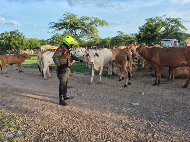 Refuerzan seguridad en el corregimiento de Los Venados (Valledupar)