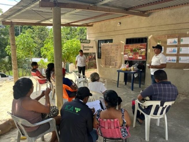 Fortalecen la seguridad alimentaria y la sanidad vegetal con comunidades indígenas en Cesar