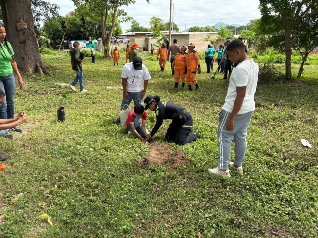 Medio ambiente: Policía Comunitaria lideró jornada de reforestación en El Copey, Cesar