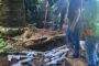 Agrosavia impulsa la innovación agrícola en el sur del cesar con el Plan Caribe Seco fase II