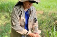 Agrosavia impulsa la innovación agrícola en el sur del cesar con el Plan Caribe Seco fase II