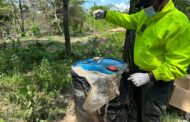 Ejército Nacional ubicó un laboratorio de clorhidrato de cocaína del Clan del Golfo en La Gloria, Cesar