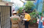 Jóvenes del Sistema de Responsabilidad Penal construyen futuro a través de la tierra en Cesar