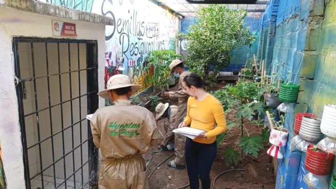 Jóvenes del Sistema de Responsabilidad Penal construyen futuro a través de la tierra en Cesar