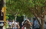 Adultos mayores fueron evacuados de Centro de Vida por ataque de abejas africanizadas