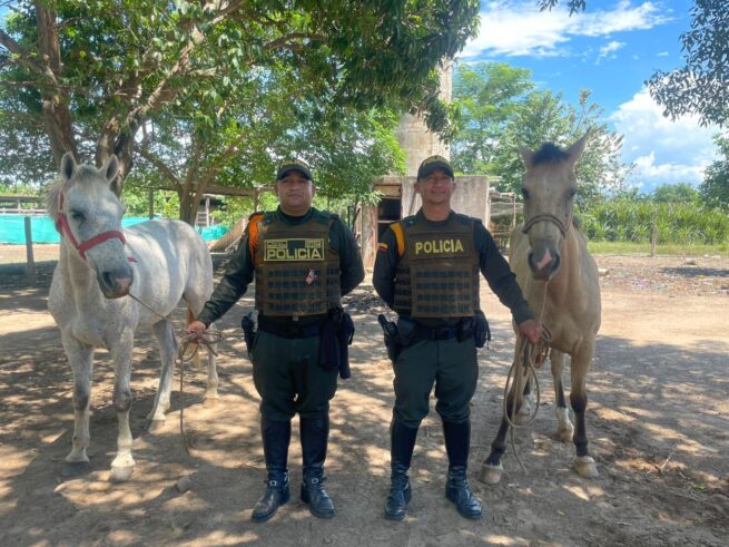 Policía recuperó semovientes hurtados en zona rural del municipio de San Diego, Cesar