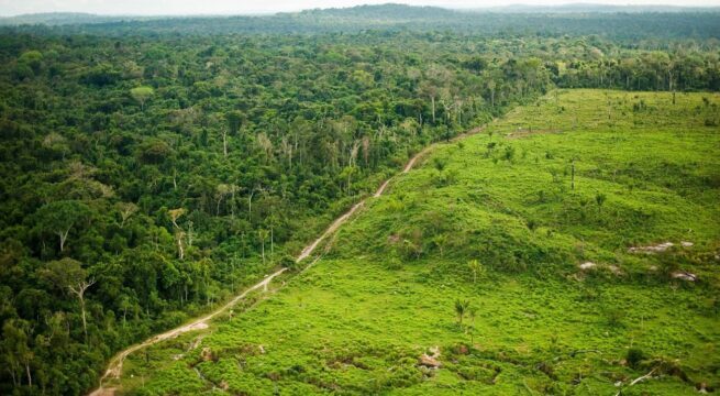 Reglamentada Ley de Áreas de Vida para fortalecer restauración ecológica en el país