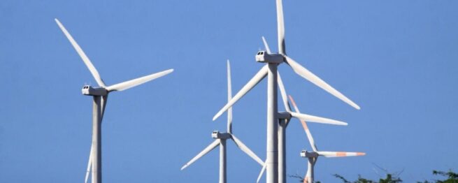 Camelias recibe aval ambiental de la Anla y se convierte en el mayor parque eólico de La Guajira