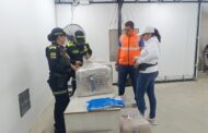 Policía refuerza controles y sensibilización en el aeropuerto Hacaritama (Aguachica)