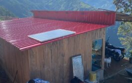 Café Flores: el aroma de la resiliencia que prospera en las montañas de Agustín Codazzi