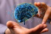 “El cerebro humano procesa actualmente 5 veces más información que hace 30 años