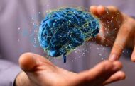 “El cerebro humano procesa actualmente 5 veces más información que hace 30 años