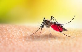 La Malaria o Paludismo: una enfermedad prevenible y curable