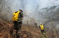 Defensoría alerta por incendios en bosques secos en Cesar y La Guajira; mantiene vigilancia