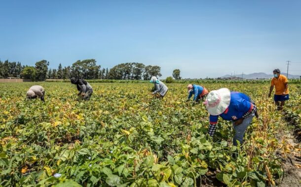 Gobierno colombiano establece arancel del 0 % para insumos agropecuarios
