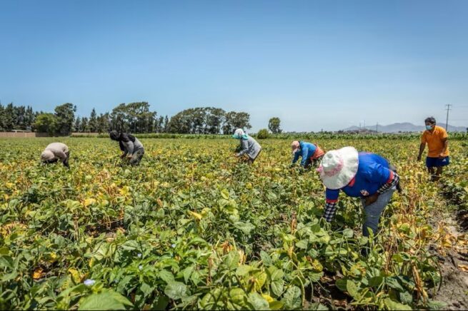 Gobierno colombiano establece arancel del 0 % para insumos agropecuarios