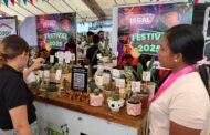 Inició en Aguachica Expoterra 2025