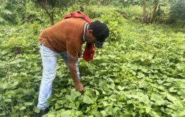 Pequeños productores, mujeres y comunidades Wayúu y raizales fortalecen su economía