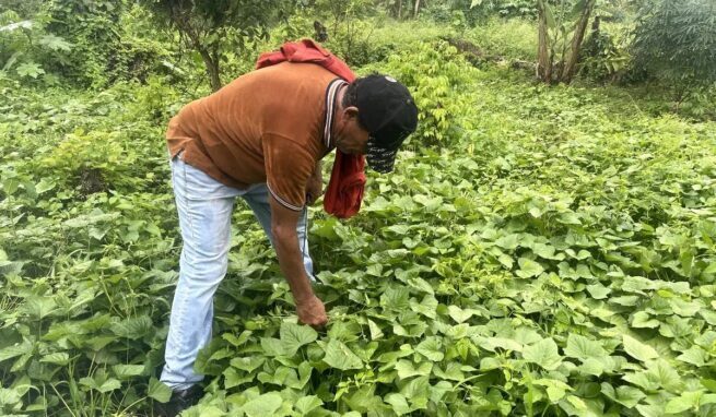 Pequeños productores, mujeres y comunidades Wayúu y raizales fortalecen su economía