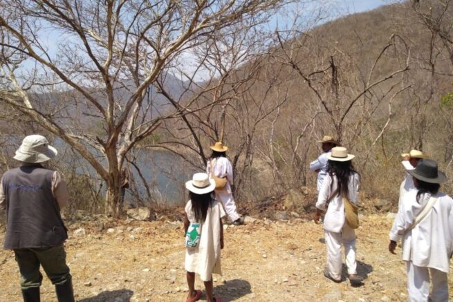 La ONU advierte sobre “tragedia de derechos humanos” en la Sierra Nevada de Santa Marta