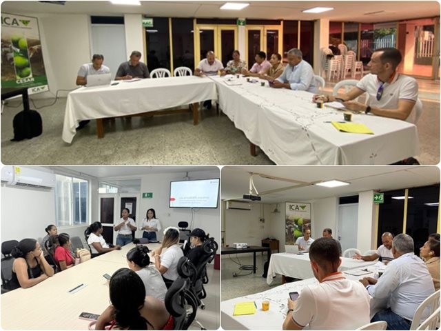 El ICA refuerza su presencia en el cesar para garantizar la sanidad animal en los équidos