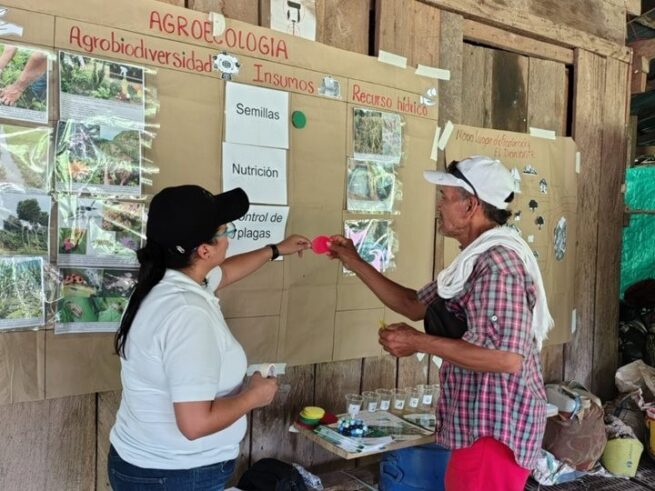 Fortalecen soberanía alimentaria en el Cesar a través de talleres de agroecología con comunidades campesinas e indígenas