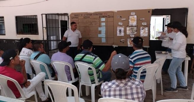 Alimentos sanos y desarrollo rural con Extensión Fitosanitaria para comunidades del Cesar