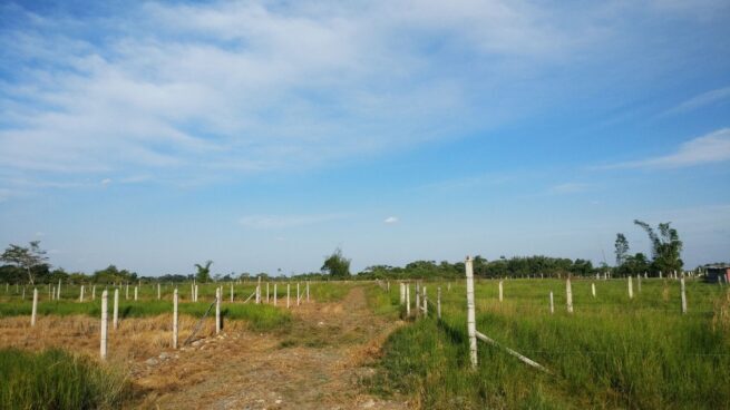 Aprobadas 2.500 nuevas hectáreas de tierras para comunidades étnicas en siete departamentos; Cesar, priorizado