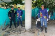 Policía Metropolitana halló 69 iguanas en costal abandonado