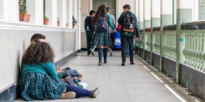 Reducción de natalidad y estudio en casa, principales causas de la crisis de colegios privados en el país: MinEducación