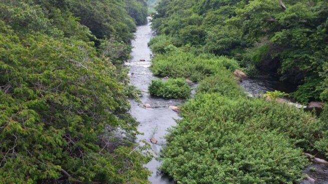 Negada licencia ambiental del proyecto minero Cañaverales en La Guajira
