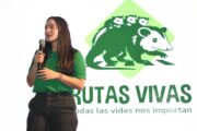 Lanza estrategia para prevenir muertes humanas y de fauna en las vías