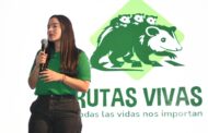 Lanza estrategia para prevenir muertes humanas y de fauna en las vías
