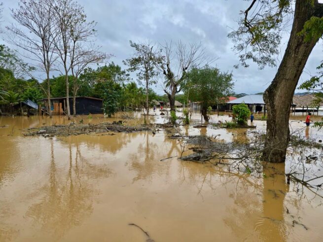 Procuraduría exhorta a implementar medidas por presencia de frente fríos