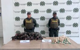 Incautados 41 especímenes y 850 huevos de iguana