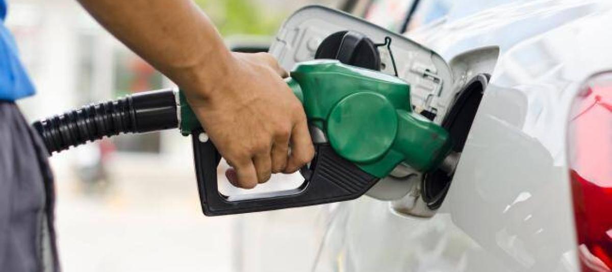 Precio del galón de gasolina bajo $500 pesos a partir del 1 de febrero