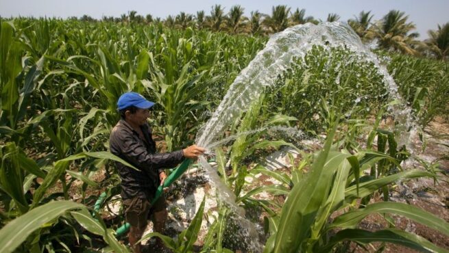 Es urgente defender la seguridad y soberanía alimentaria de Colombia: Fenalce