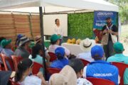En Cesar, abren primera planta de bioconversión con mosca soldado negra