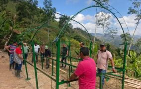 Impulsan producción de cacao en el Catatumbo
