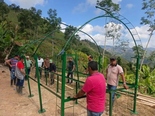 Impulsan producción de cacao en el Catatumbo