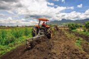 MinAgricultura presentó ante el Senado cinco apuestas para transformar el campo colombiano