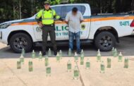 Capturado en vías del Cesar con licor de dudosa procedencia