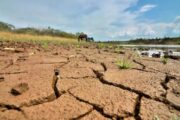 El niño se fortalece: aumenta a 75 % la probabilidad de que sea el más fuerte