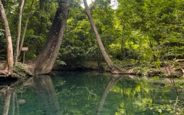 Inversión privada llegará a proyectos ambientales en 5 departamentos, La Guajira, uno de ellos